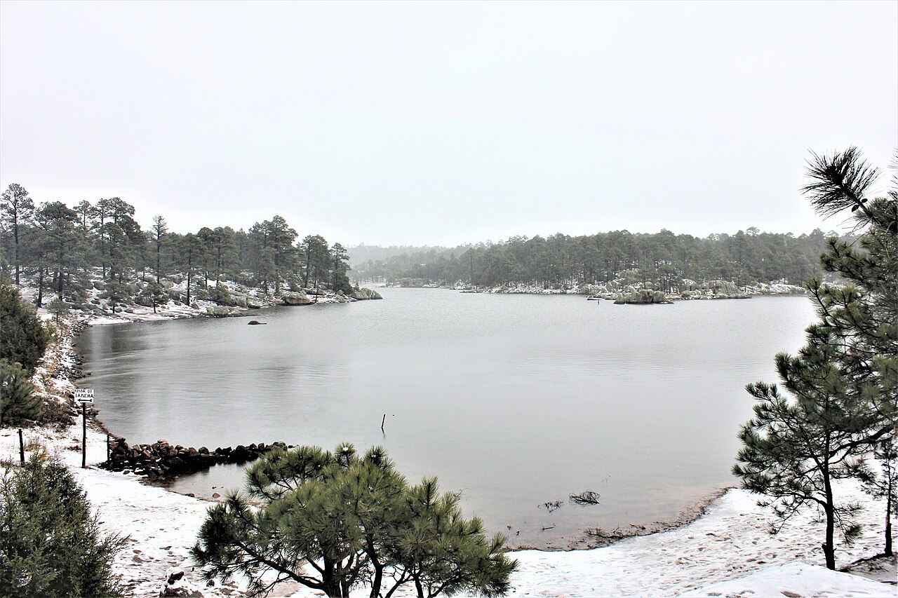 Lago Arareko